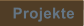 Projekte