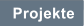 Projekte